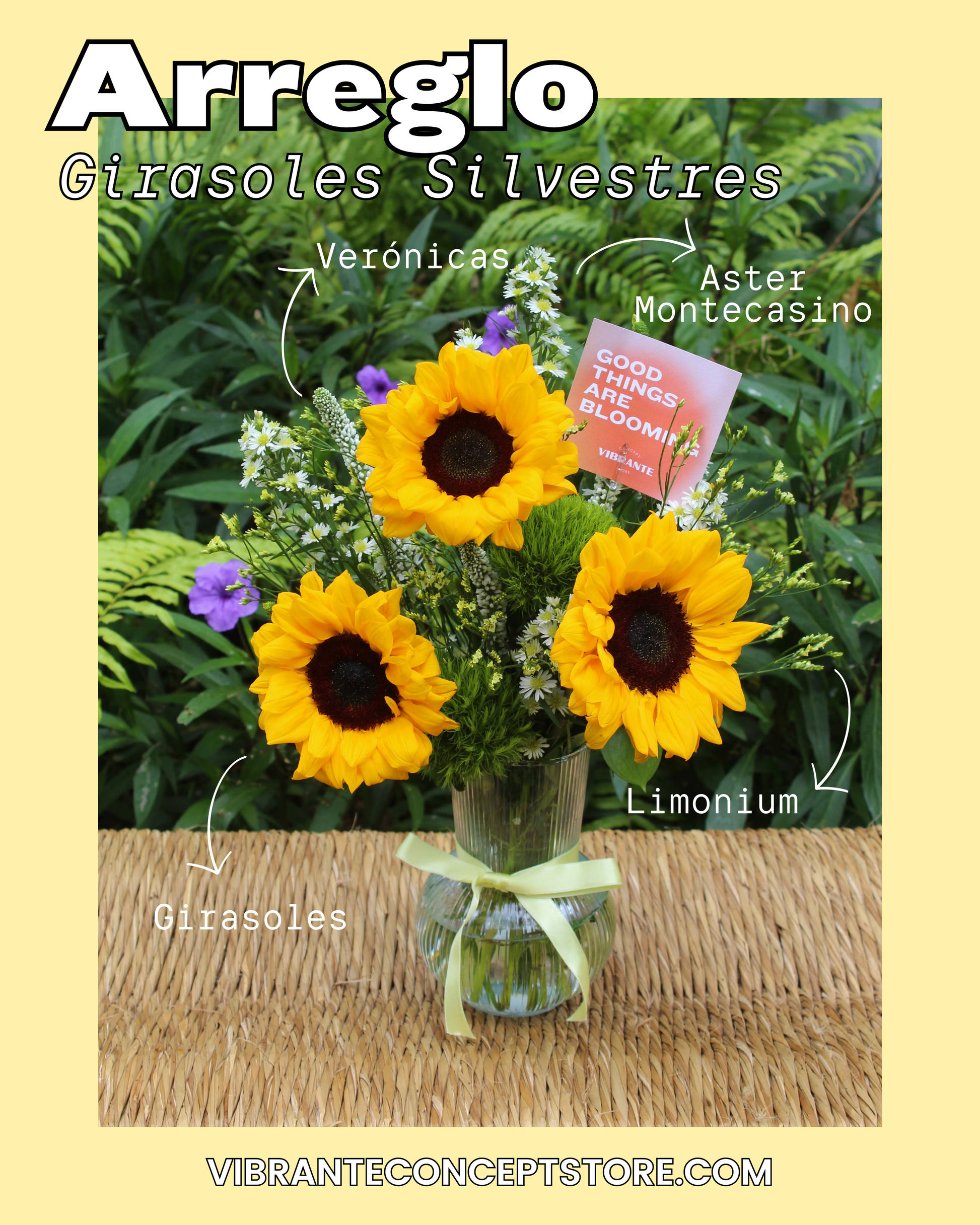 Girasoles Silvestres