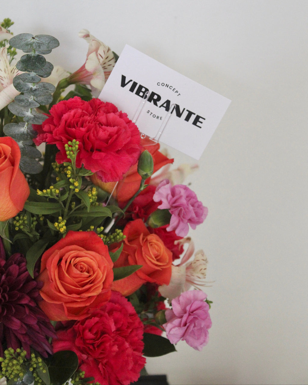 Arreglo Centro de Alegría