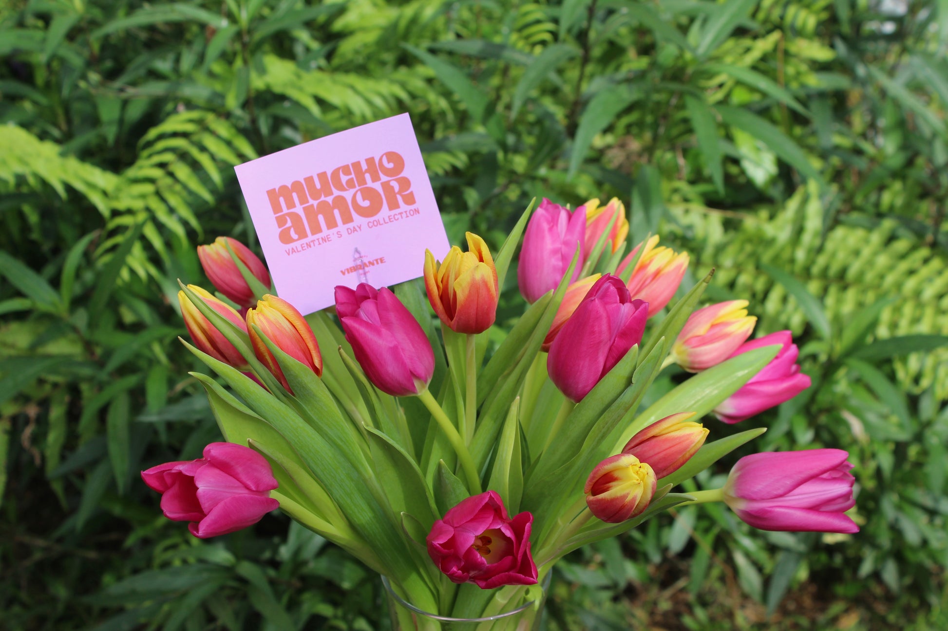 Arreglo Vibrant Tulips