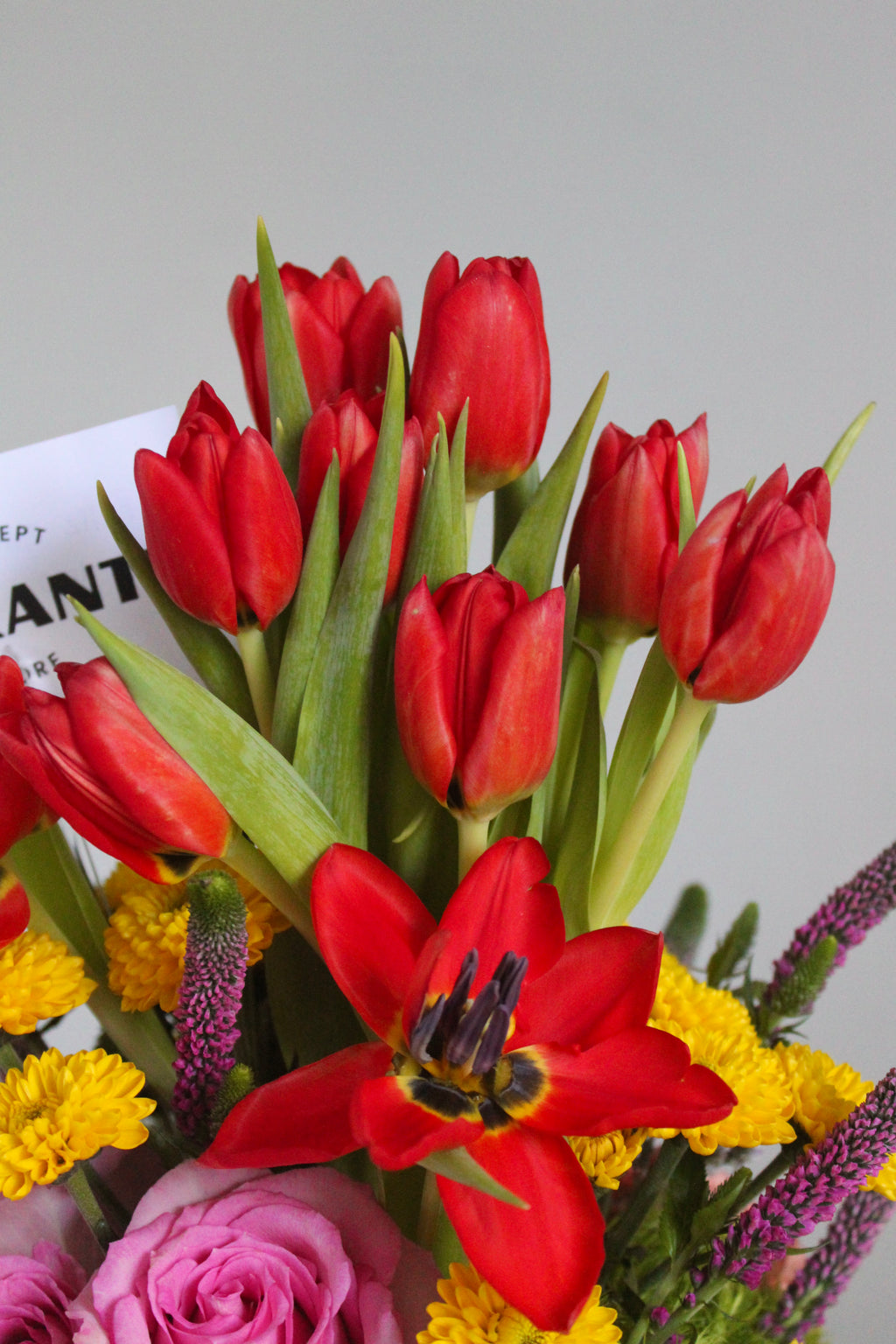 Arreglo Esencia de Primavera