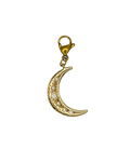 Moonlight Charm