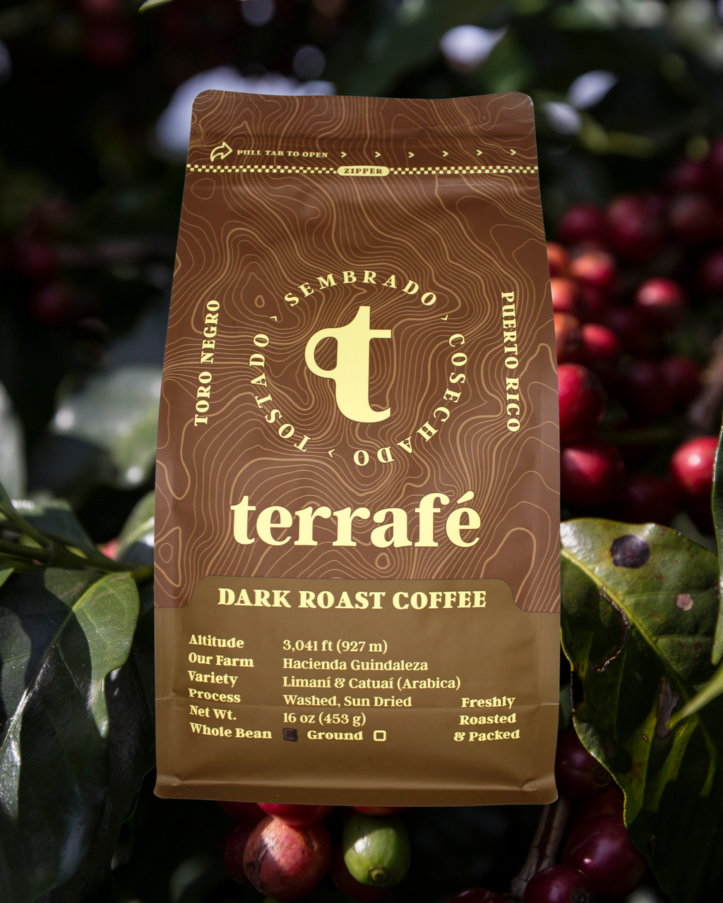 Terrafé Dark Roast Coffee