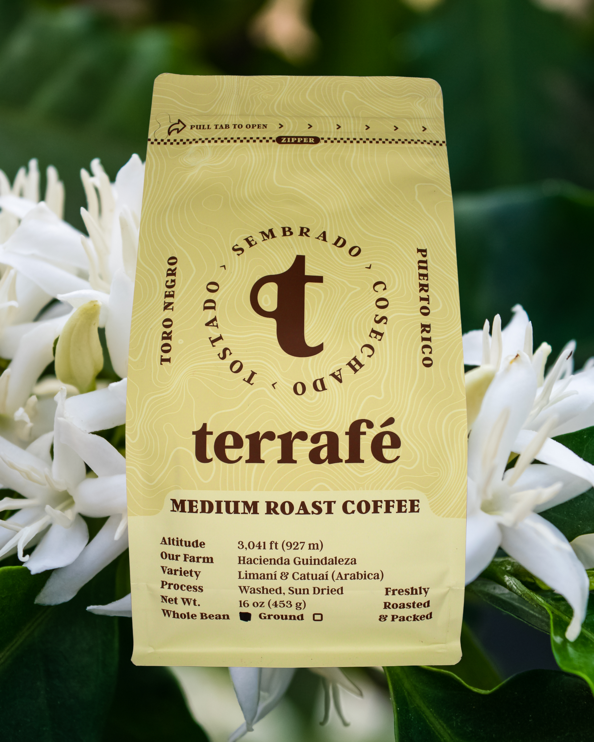 Terrafé Medium Roast Coffee